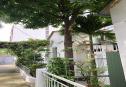 house for rent thao dien district 2 18 1