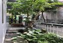 house for rent thao dien district 2 21 1