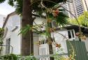 house for rent thao dien district 2 30 1