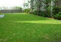Modern apartment 3 bedrooms for rent in The Vista