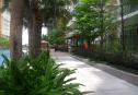 Modern apartment for rent in The Vista