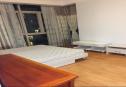 Modern apartment 3 bedrooms for rent in The Vista