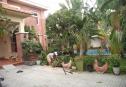 HOUSE TO RENT HCM 19