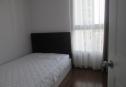 IMG 2516 Copy