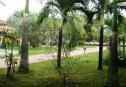 VILLA big garden for rent 28