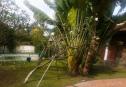 VILLA big garden for rent 41