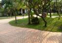 VILLA big garden for rent 43